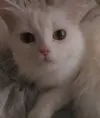 Йегрес