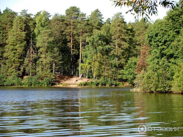 Старая пустынь нижегородская. Старая пустынь биостанция.