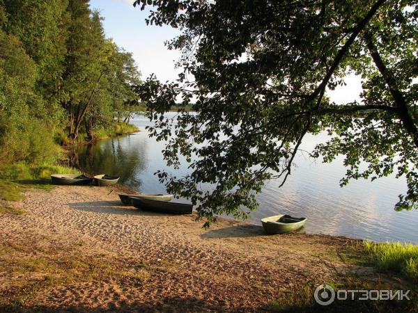 Старая пустынь нижегородская. Арзамас Старая пустынь. Старая пустынь биостанция. Биостанция пустынь Нижегородская.