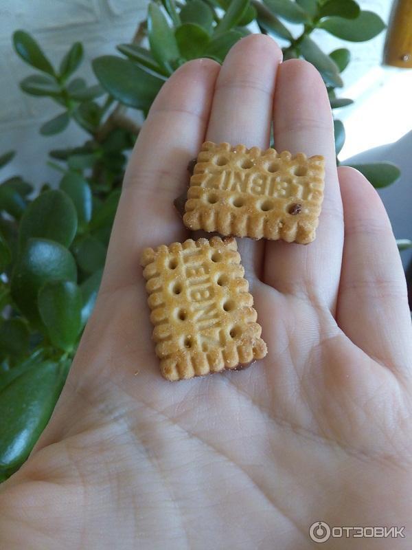 Мини Печенье Leibniz Где Купить