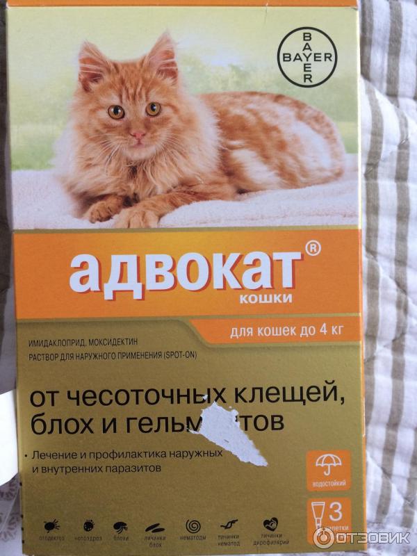 Отзыв о Капли на холку от чесоточных клещей, блох и гельминтов для ...