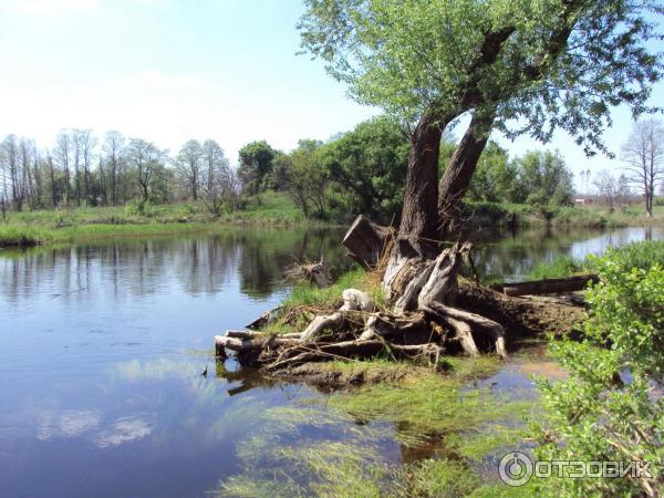 Воронежская область