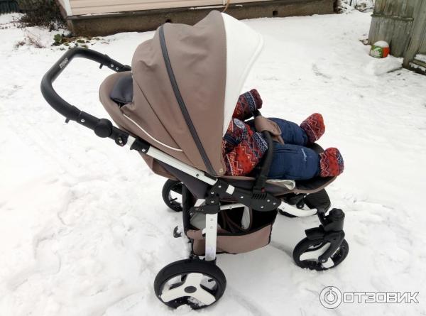 Купить Коляску Camarelo Eos