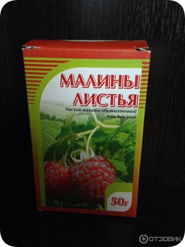 Листья Малины Купить