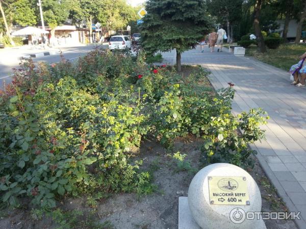 Парк гудовича анапа фото Отзыв о Сквер-бульвар им. И.В.Гудовича (Россия, Анапа) Очень приятное место отды