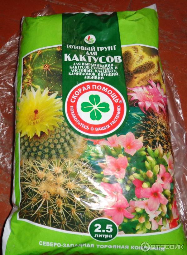 5. Грунт для кактусов состав. Почвогрунт сад чудес кактус сад чудес 2,5л. Земля для цветов комнатных. Какой грунт подходит для кактусов.