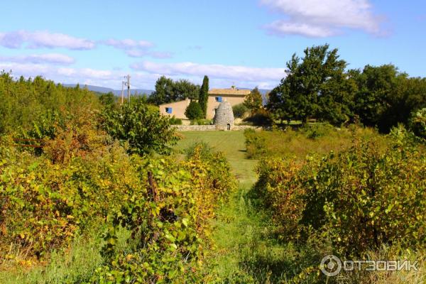 Экскурсия в г. Лакост Прованс Франция отзыв фото