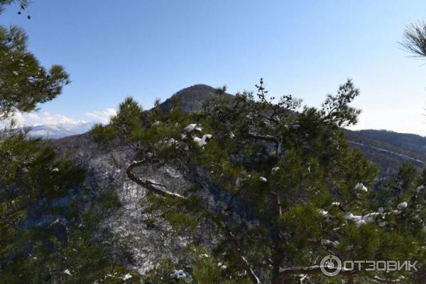 Экскурсия в пещеру на Орлиных скалах (Россия, Сочи) фото