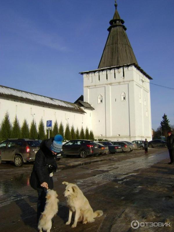 Рождества Богородицы Свято-Пафнутьев Мужской Монастырь (Россия, Боровск) фото