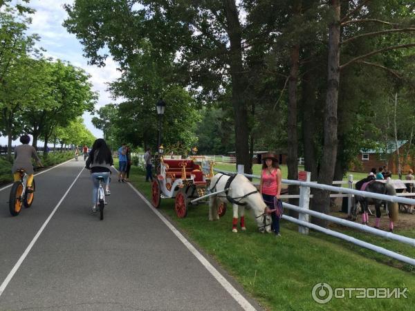 Резиденция 4 президента Украины Виктора Януковича Межигорье (Украина, Новые Петровцы) фото