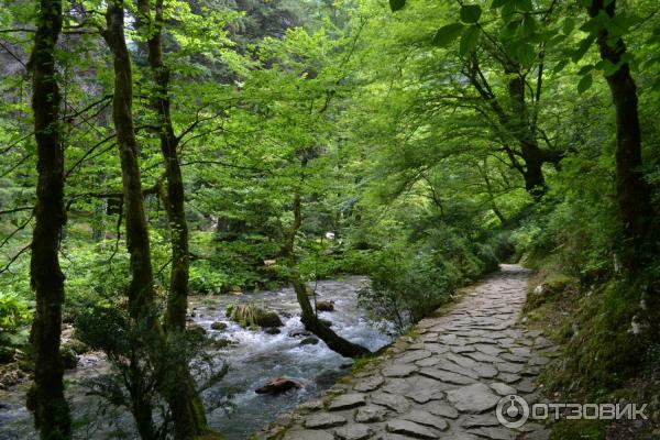 Отдых в г. Новый Афон (Абхазия) фото