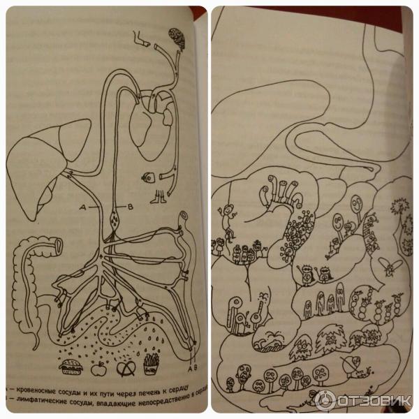 Книга Очаровательный кишечник - Джулия Эндерс фото