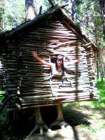 Санаторий "Сибиряк" (Россия, Бердск) фото