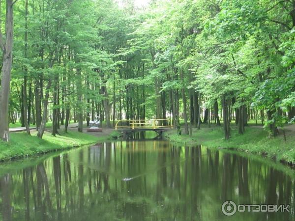 Парк Суворова (Беларусь, Кобрин) фото