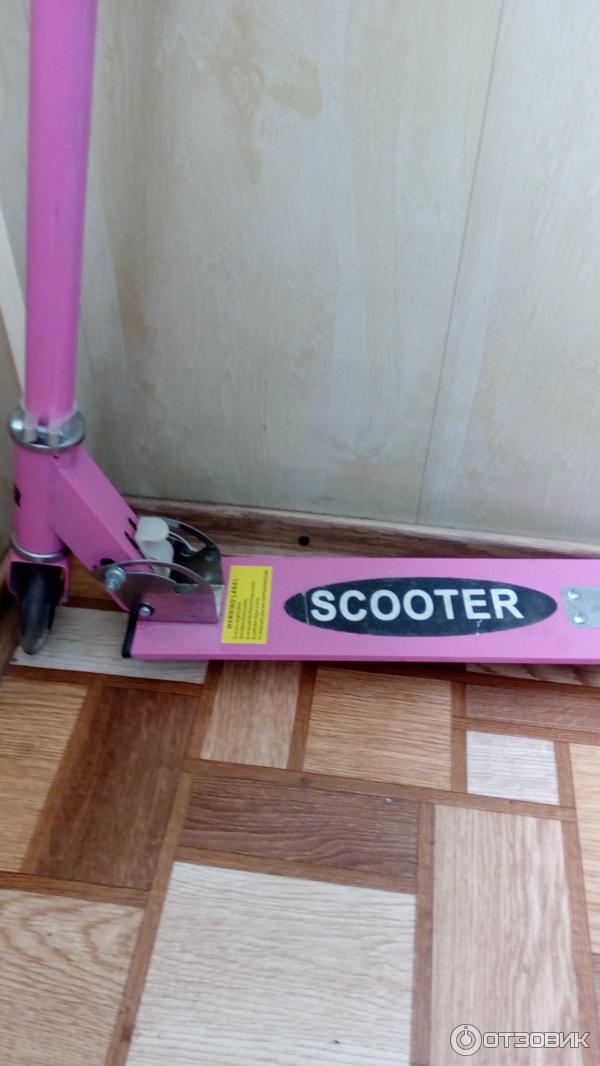 Самокат детский Scooter двухколесный фото