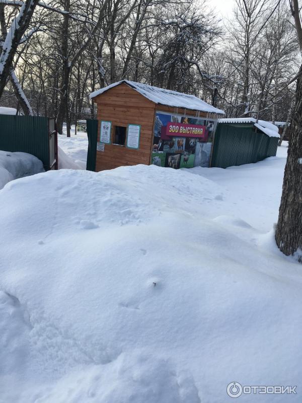 Парк культуры и отдыха (Россия, Череповец) фото