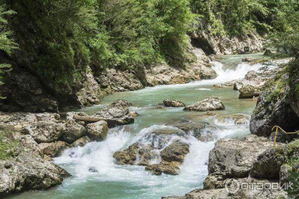 Река белая краснодарский край фото