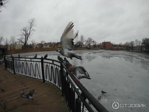 Экшен-камера SJCAM SJ6 LEGEND фото