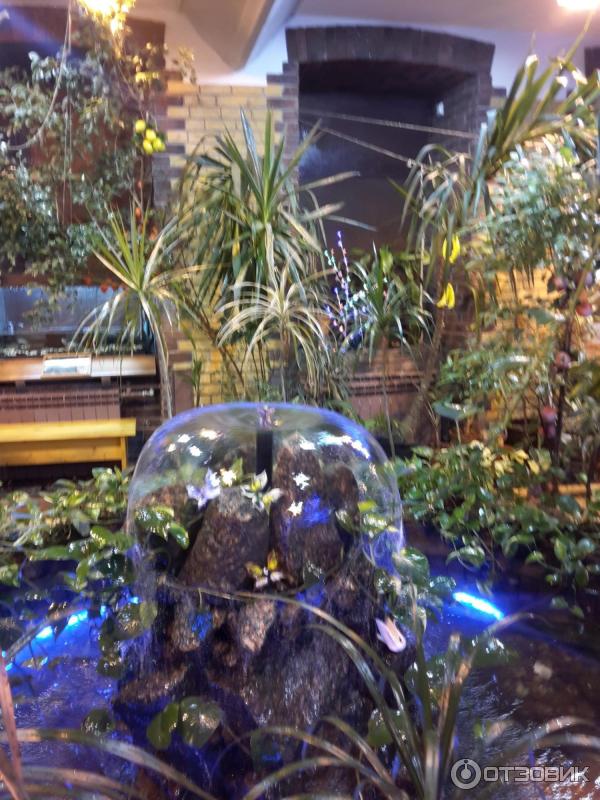 Музей тропических бабочек миндо санкт петербург. Сад живых тропических бабочек "миндо". Музей бабочек миндо спб. Музей бабочек миндо в санкт-петербурге. Сад тропических бабочек в санкт-петербурге.