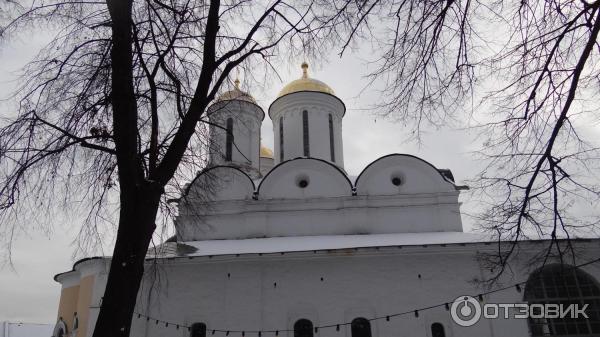 Ярославский государственный музей-заповедник (Россия, Ярославль) фото