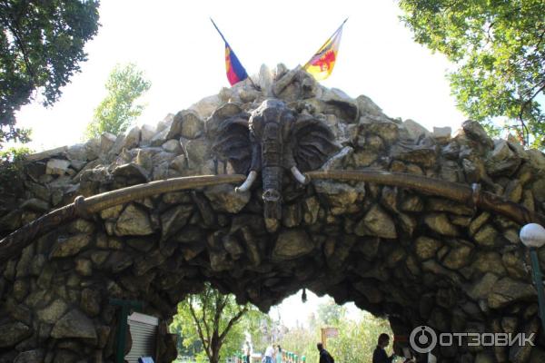 Купить Билет В Сафари Парк Краснодар