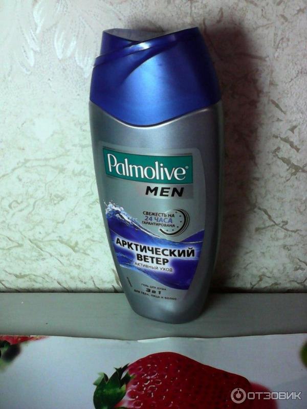 Гель для душа мужской Palmolive Арктический ветер фото