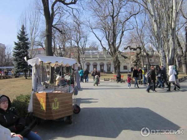 Городской сад (Украина, Одесса) фото