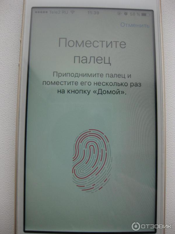 Смартфон Apple iPhone 5S фото