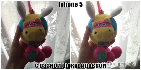 Смартфон Apple iPhone 5 фото