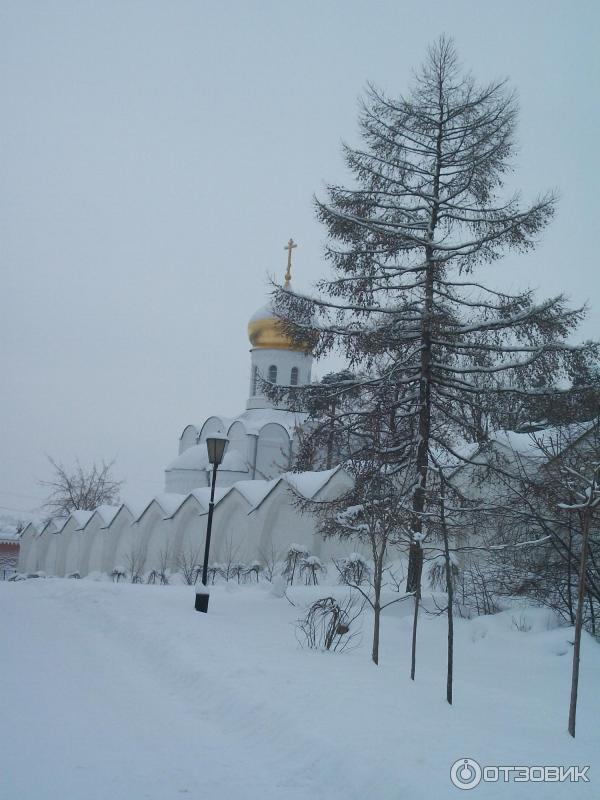 Николо - Угрешский монастырь (Россия, Московская область) фото