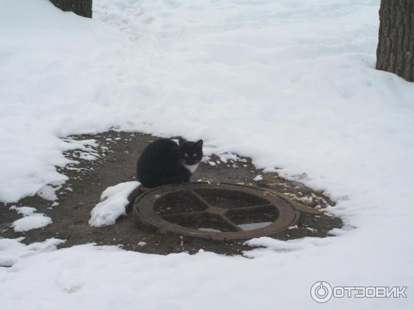 Николо - Угрешский монастырь (Россия, Московская область) фото