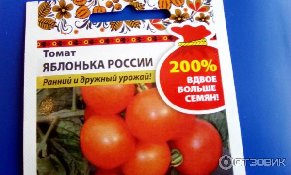 Томат Яблонька Отзывы Фото