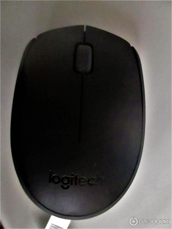 Мышь беспроводная оптическая Logitech M171 фото