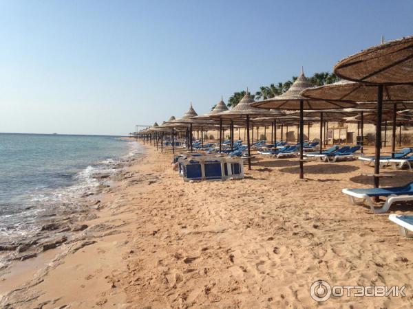 Отель Melia Sharm 5* (Египет, Шарм-эль-Шейх) фото