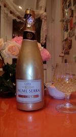 Вино игристое белое брют Cava Jaume Serra фото