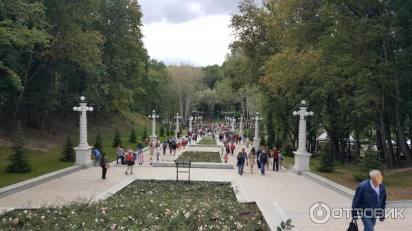 Куда съездить погулять в воронеже. Парк на Остужева. Где погулять. Где погулять в Воронеже. Где можно погулять в Воронеже летом.