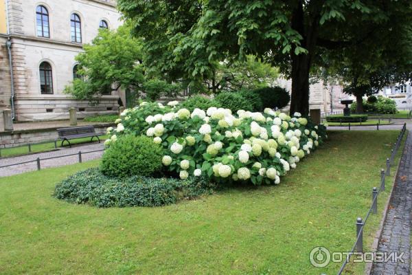 Город Баден-Баден (Германия, Баден-Вюртемберг) фото