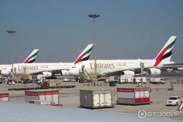 Авиакомпания Emirates фото