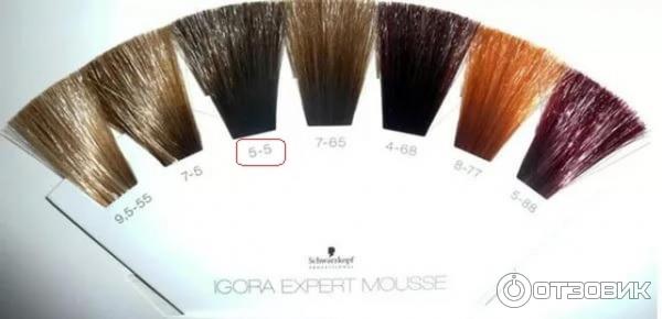 Оттеночный мусс для волос Schwarzkopf Igora Expert Mousse фото