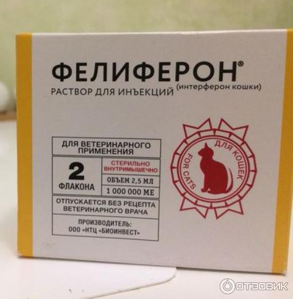 Фелиферон для кошек цена