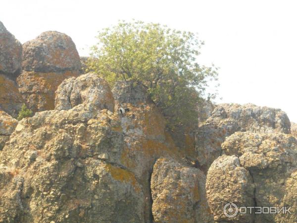 Экскурсия по островам Эгейского моря (Турция, Мармарис) фото