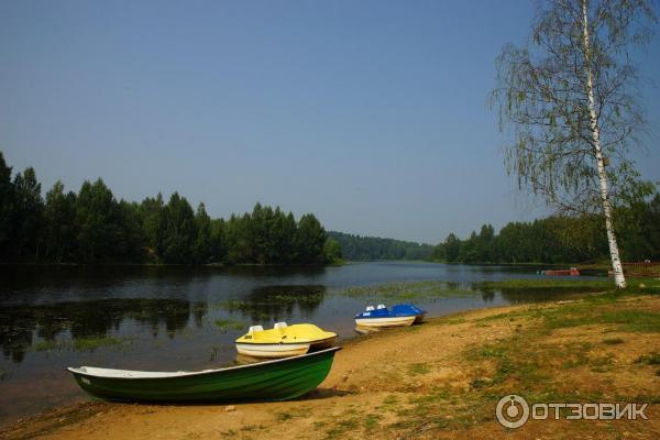 База отдыха Лесной Берег (Россия, Брейтово) фото