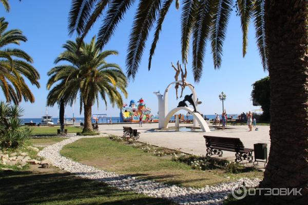 Отдых в г. Пицунда (Абхазия) фото