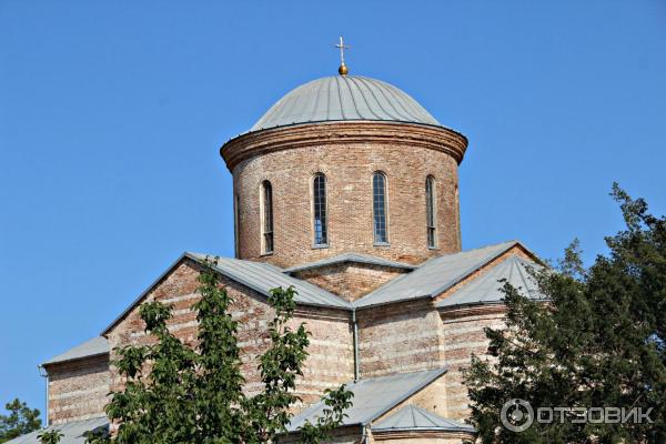 Отдых в г. Пицунда (Абхазия) фото