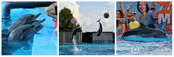 Отдых в г. Пицунда (Абхазия) фото