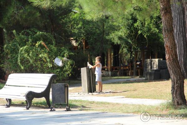 Отдых в г. Пицунда (Абхазия) фото