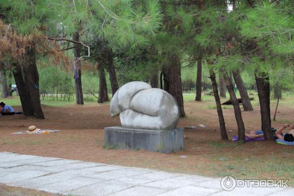 Отдых в г. Пицунда (Абхазия) фото