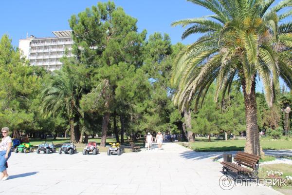 Отдых в г. Пицунда (Абхазия) фото