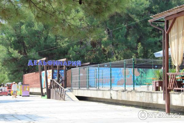 Отдых в г. Пицунда (Абхазия) фото