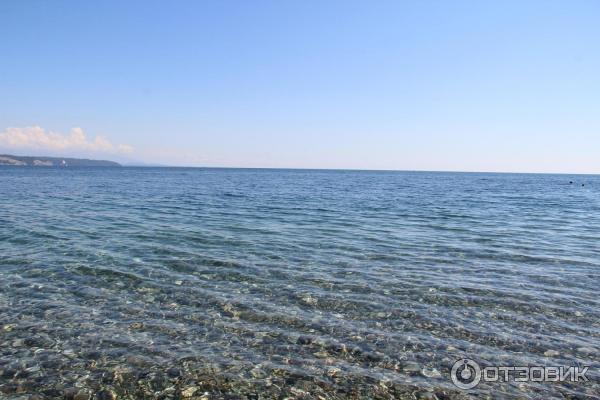 Отдых в г. Пицунда (Абхазия) фото